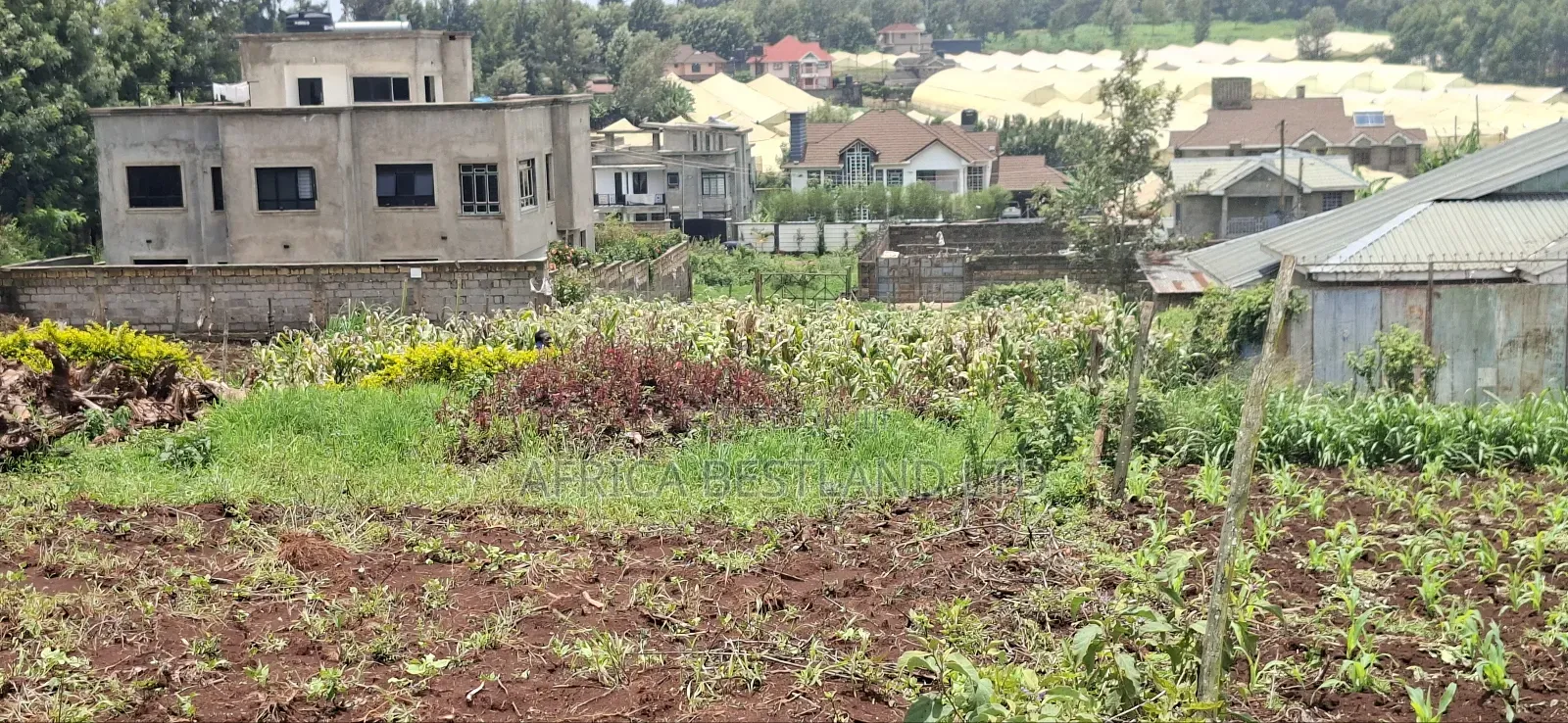 Kikuyu Ondiri 100x100 Plot Available for Sale
