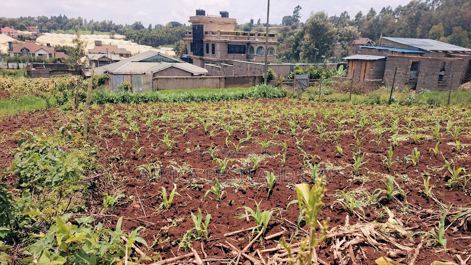 Kikuyu Ondiri 100x100 Plot Available for Sale