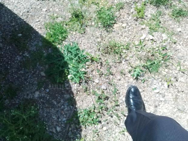 50*100 Kitengela Plots for Sale - thumbnail 6