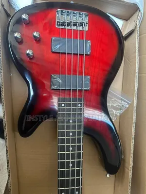 5 String Bass Guitar