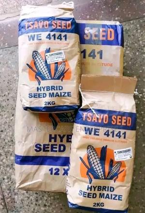 Tsavo Maize