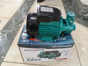 Pulsar 1hp Boaster Pump
