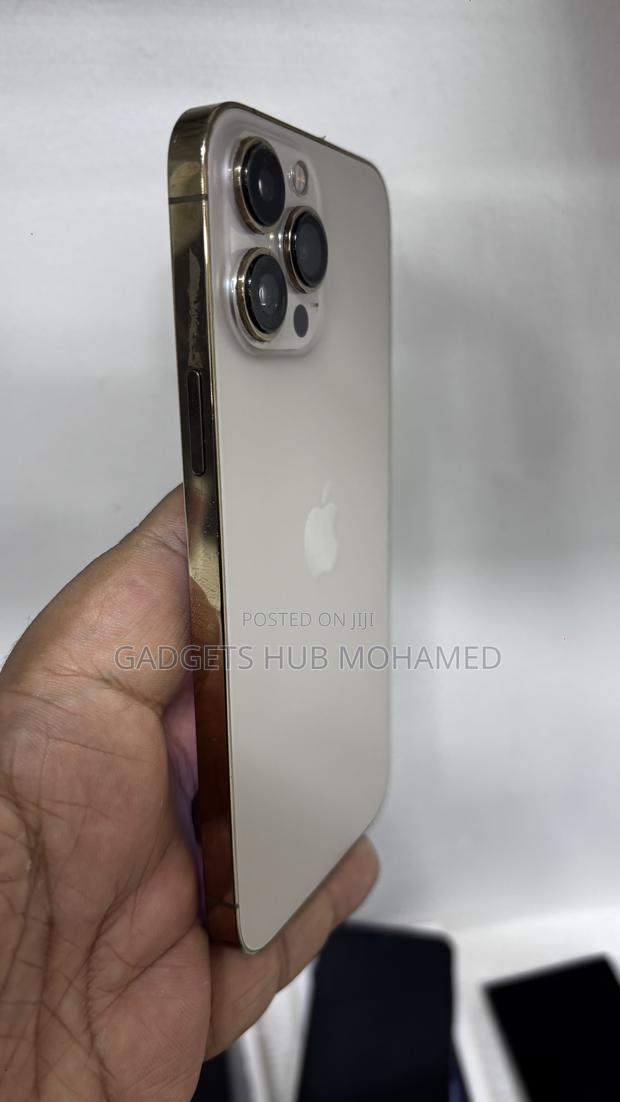 Apple iPhone 13 Pro Max 256 GB Gold - thumbnail 4