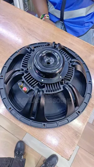 New Retone (Nr) 15-Inch Professional Naked Speaker.