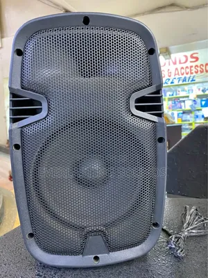Aone 12" Portable Speakers
