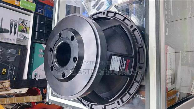 Derwel 12-Inch Low-Frequency Naked Speaker - main view