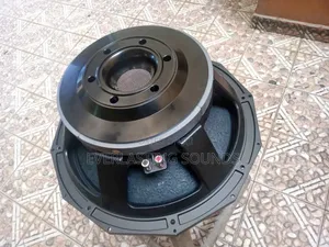 Professional 18-Loudspeaker Driver