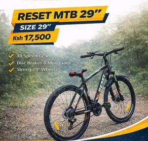 Tall Men Bike Size 29
