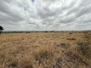 1 Acre Isinya for Sale Behind National Oil