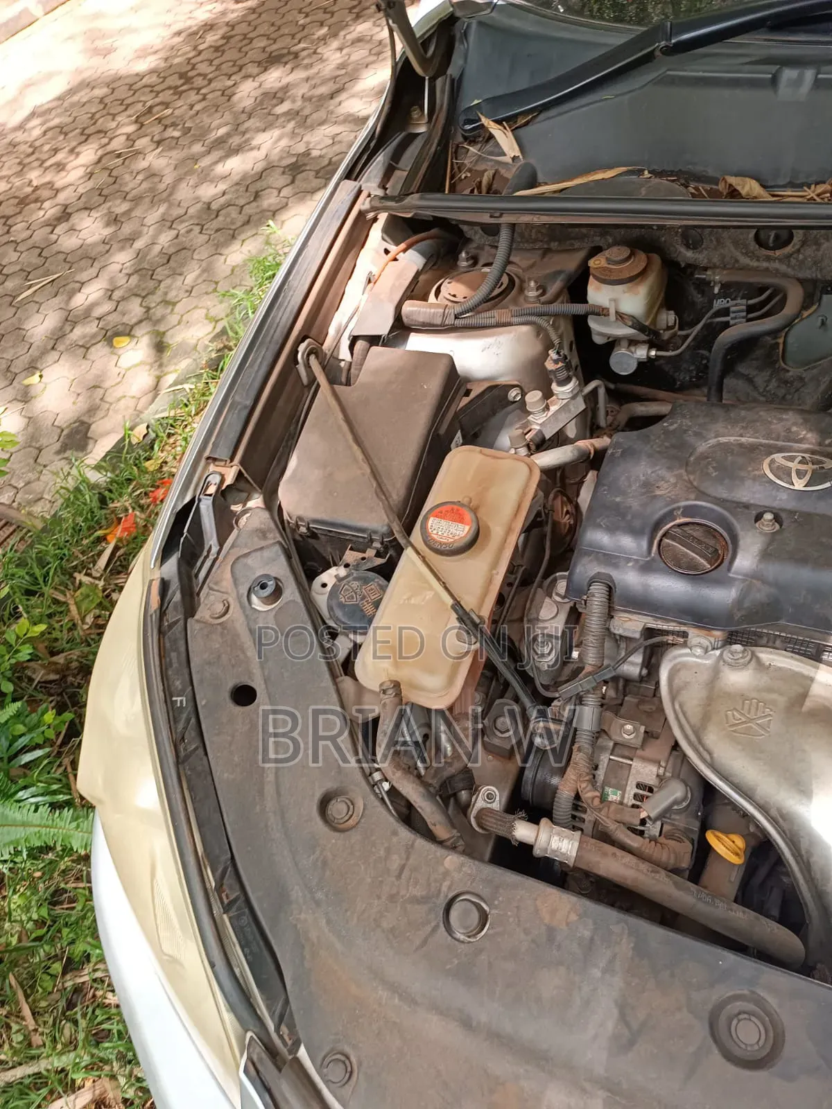 Toyota RAV4 2014 Silver