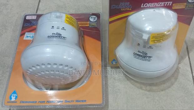 Lorenzetti Electric Shower Head - main view