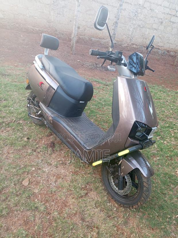 New Captain CP150-10 2025 Gray