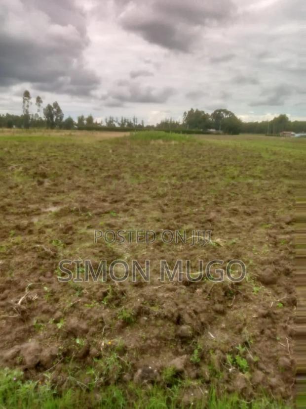 Engineer Kinagop Prime 3 Acre Near Kenyatta Tree Freehold Title - thumbnail 3