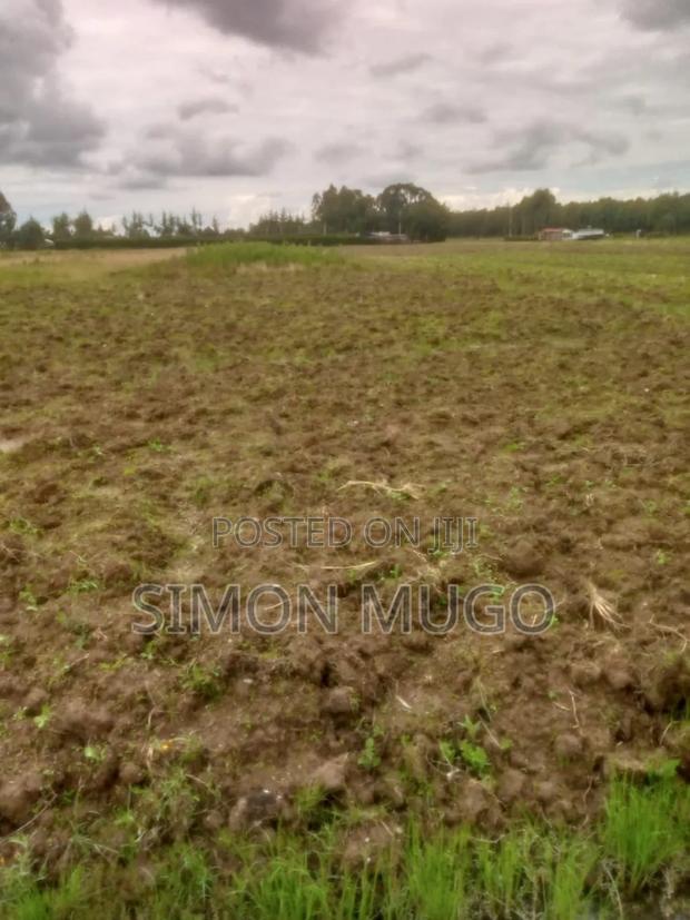 Engineer Kinagop Prime 3 Acre Near Kenyatta Tree Freehold Title - thumbnail 5
