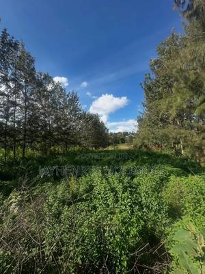 Half Acre Plot for Sale in Mushroom Gardens,Off Kiambu Rd - thumbnail 2