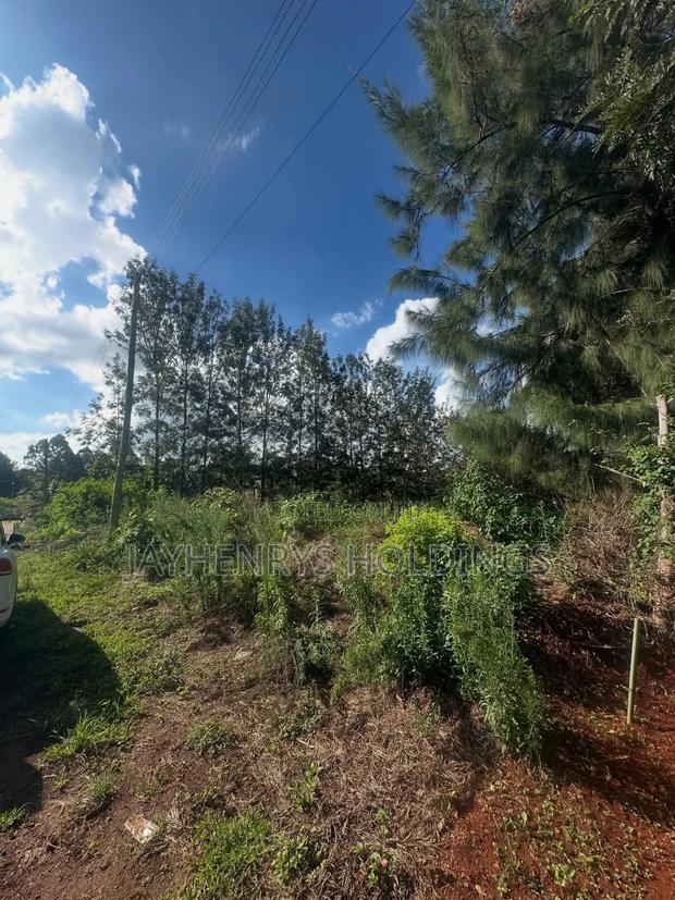 Half Acre Plot for Sale in Mushroom Gardens,Off Kiambu Rd - thumbnail 3
