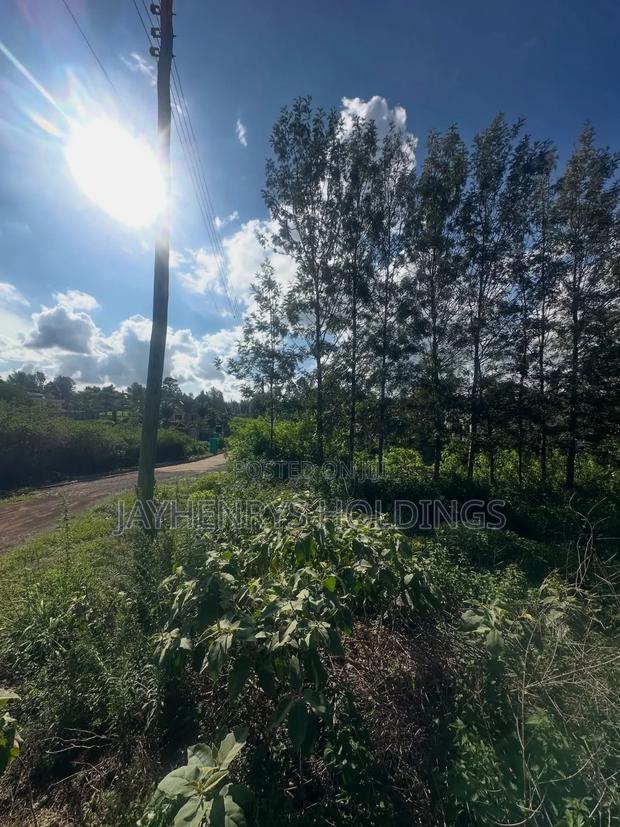 Half Acre Plot for Sale in Mushroom Gardens,Off Kiambu Rd - thumbnail 4
