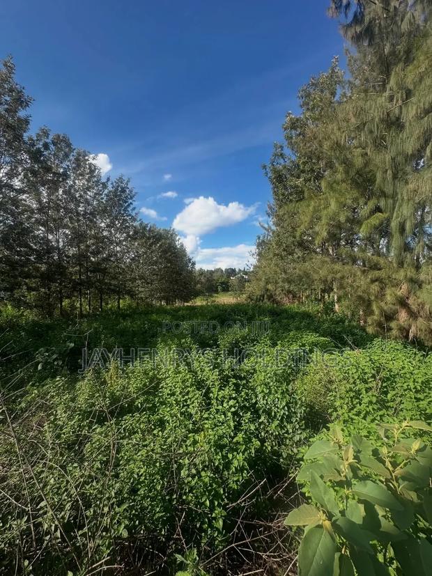 Half Acre Plot for Sale in Mushroom Gardens,Off Kiambu Rd - thumbnail 5