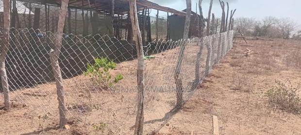 Land for Sale - thumbnail 2