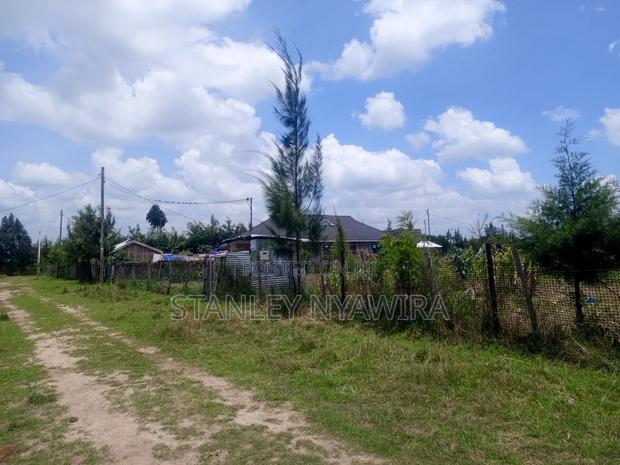 Plot Soby 100 Nanyuk. Ioposite Sarafina - main view