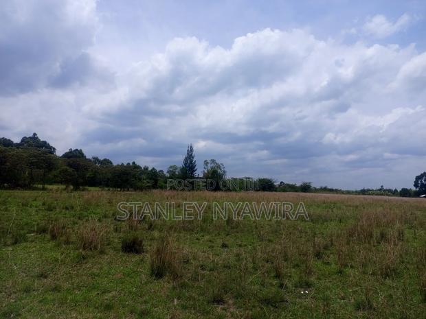 Plot Soby 100 Nanyuk. Ioposite Sarafina - thumbnail 3