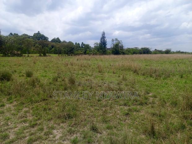 Plot Soby 100 Nanyuk. Ioposite Sarafina - thumbnail 4