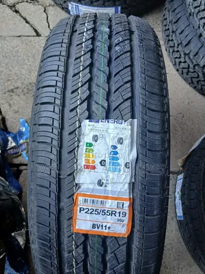 225/55r19 Boto Tires