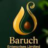 Baruch Enterprises Limited logo