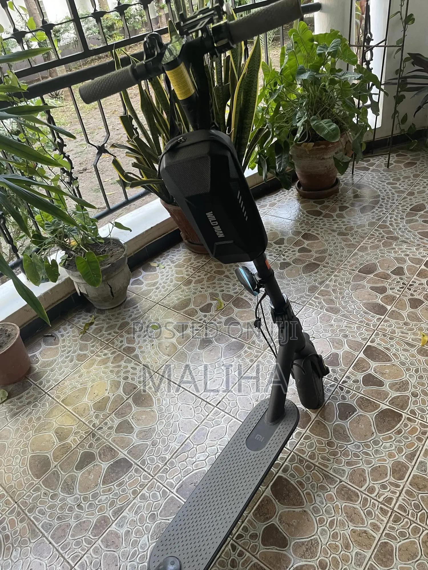 Electric Scooter