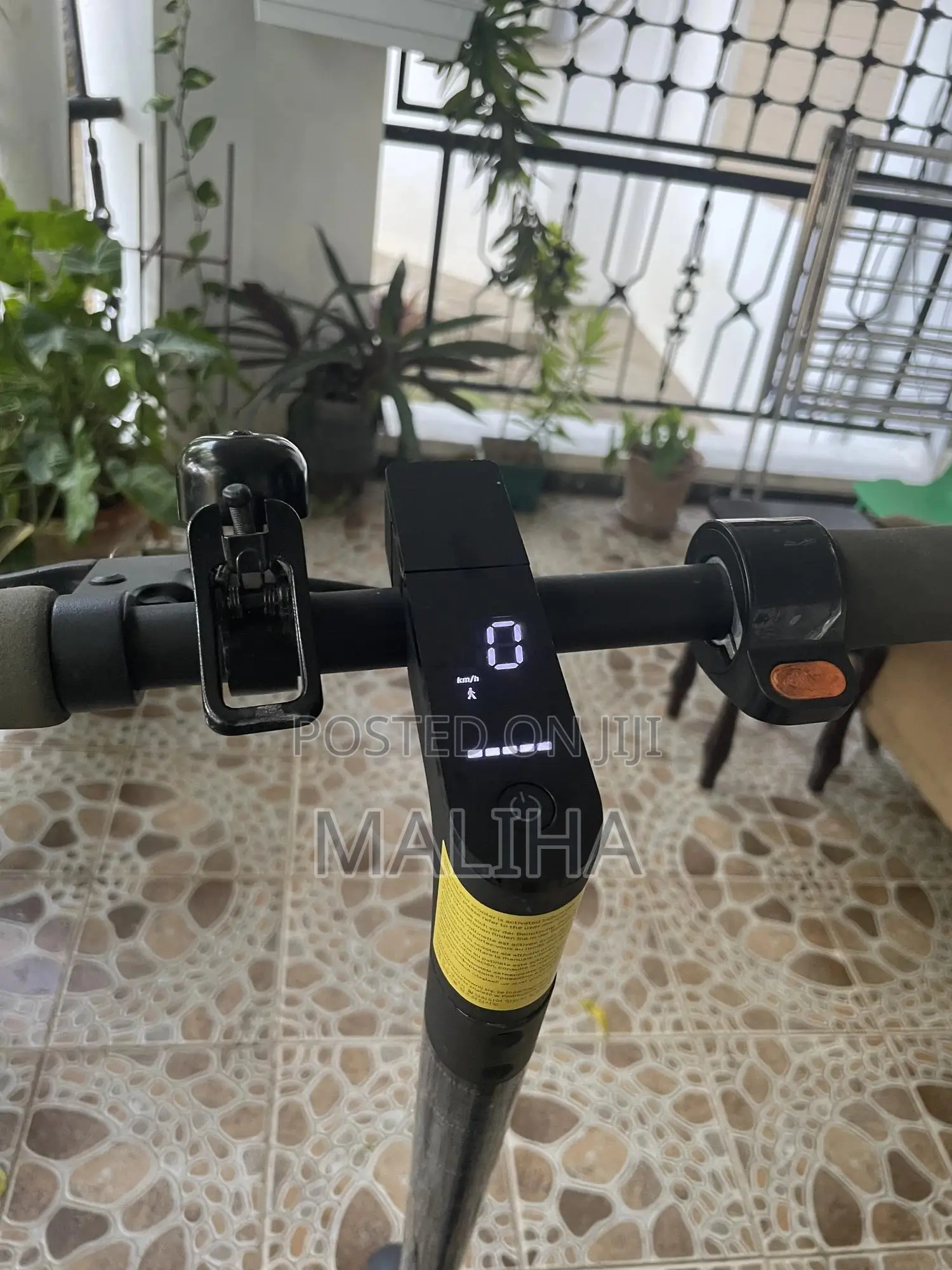 Electric Scooter