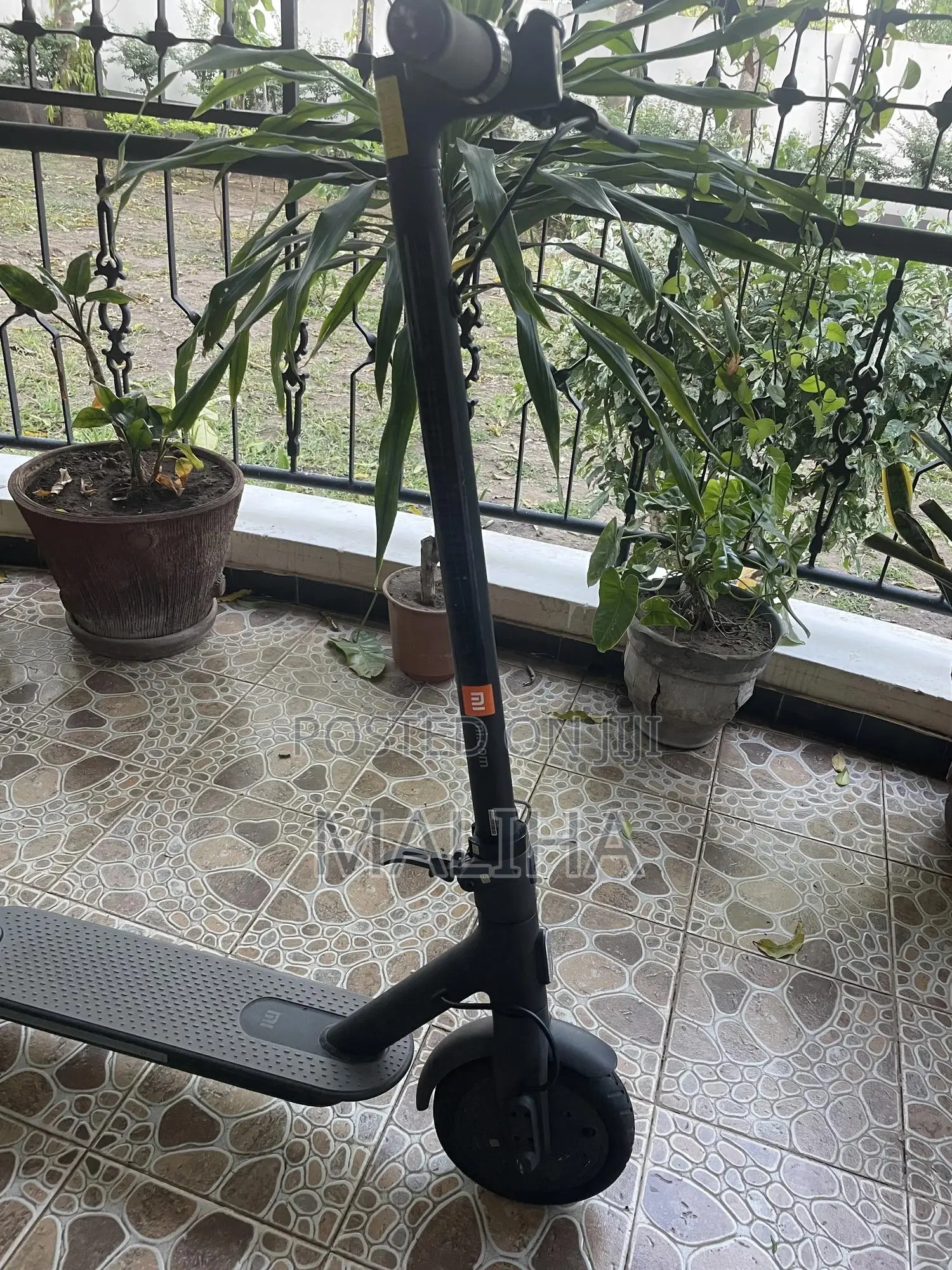 Electric Scooter