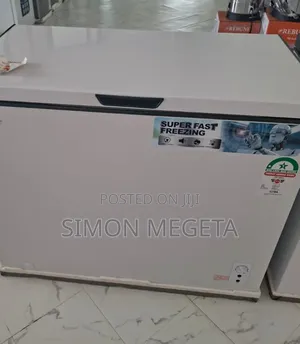 Rebune 250 Litres Deep Freezer