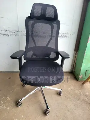 Office Orthopaedic Chair