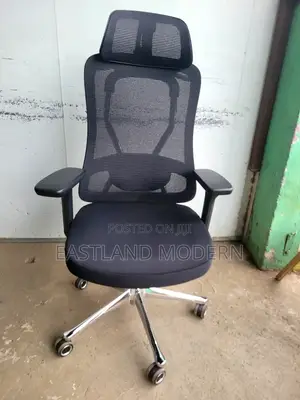 Office Orthopaedic Chair