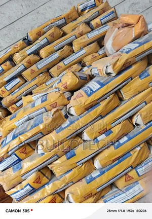 Sikatop Seal-107 Ke Professional Waterproof