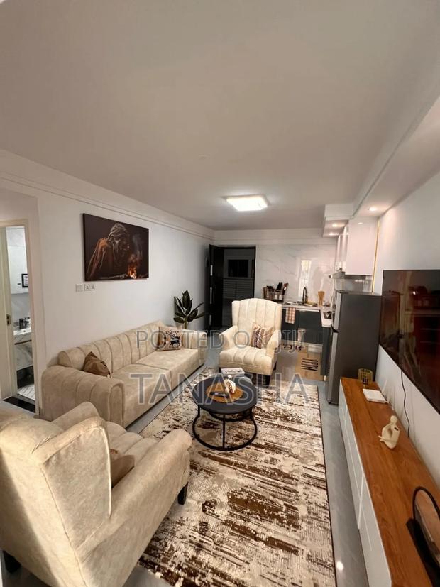 One Bedroom Airbnb Apartment - main view