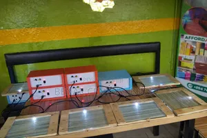 Bee Venom Collector Machines