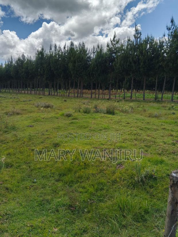 3.5acres Available for Sale - thumbnail 4