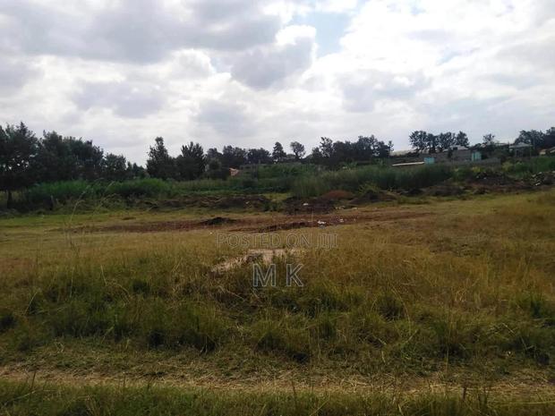 Agricultural Land - main view