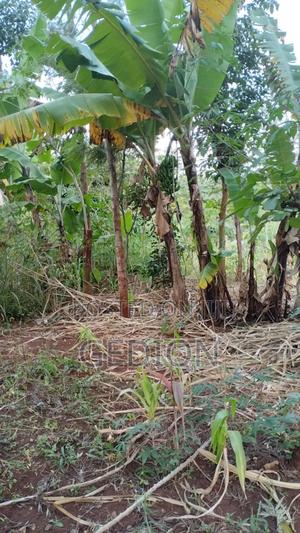 0.25 Actere Plume Plot For Sale - thumbnail 2