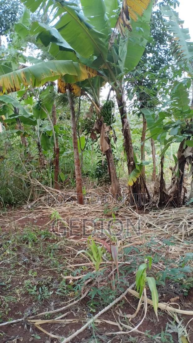 0.25 Actere Plume Plot For Sale - main view