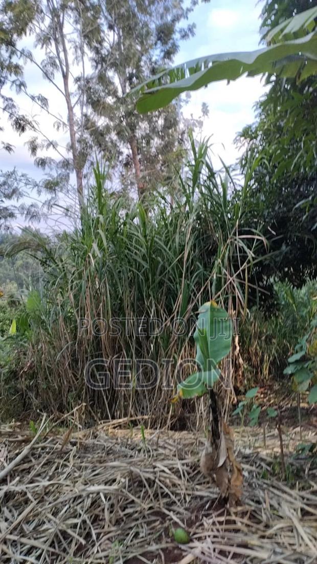 0.25 Actere Plume Plot For Sale - thumbnail 5