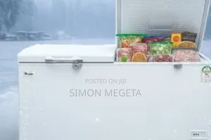 Ramtons 431l Freezer – Big Storage, Powerful Cooling, Affordable Price