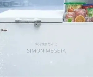 Ramtons 431 Litres Freezer – Get True Value For Your Money