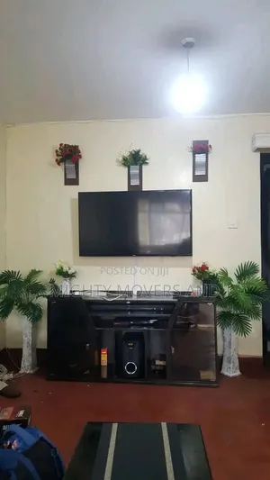 Professional Movers and Packers Services Within