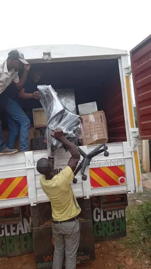 Professional Movers and Packers Services Within