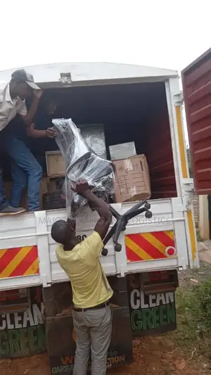 Professional Movers and Packers Services Within