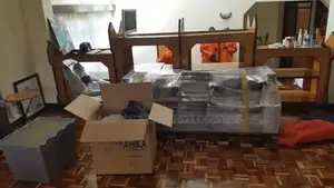 Movers and Professional Packers
