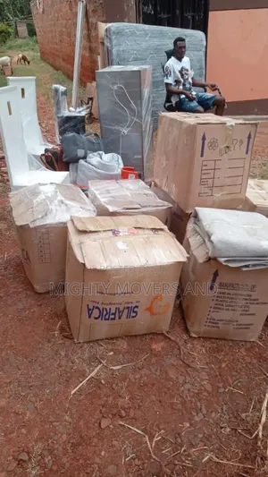 Movers and Professional Packers