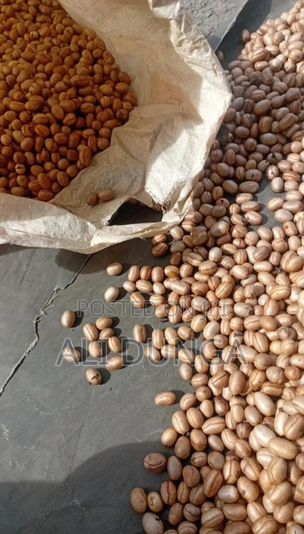 Indian Ashok Seeds - main view